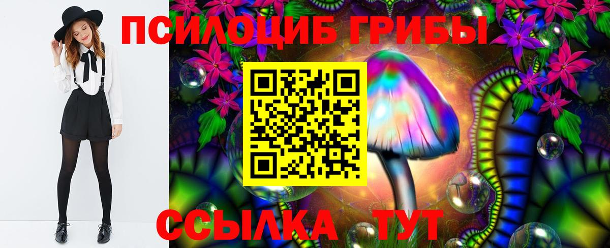 купить наркотики сайты  Псилоцибиновые грибы ЛСД  Вход с VPN  Бузулук 