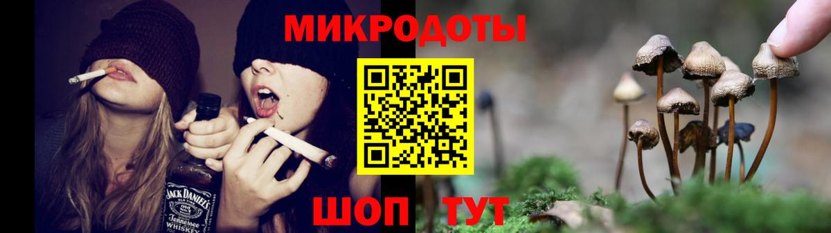 Псилоцибиновые грибы MAGIC MUSHROOMS Бузулук